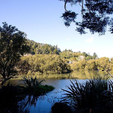 By The Park B & B Whangarei Esterno foto