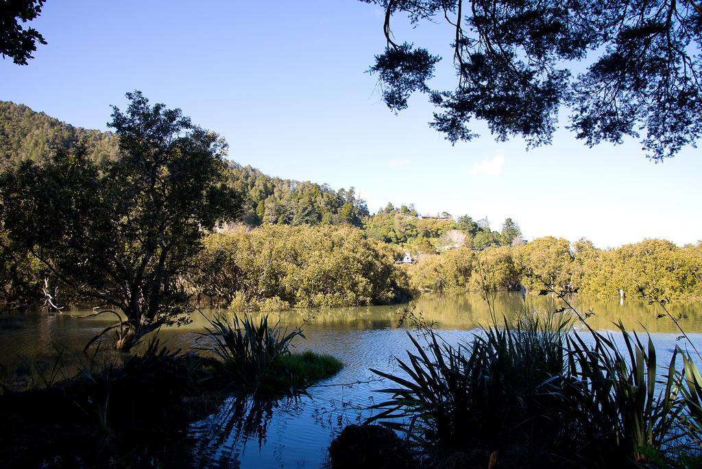By The Park B & B Whangarei Esterno foto