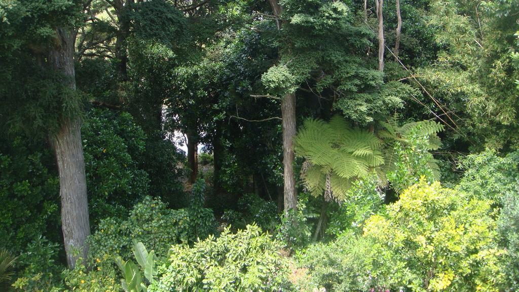 By The Park B & B Whangarei Camera foto