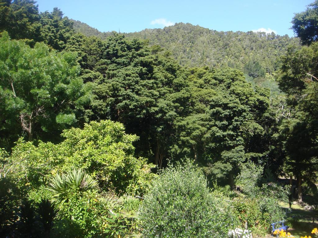 By The Park B & B Whangarei Camera foto