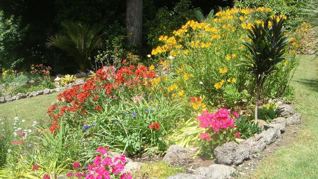 By The Park B & B Whangarei Camera foto